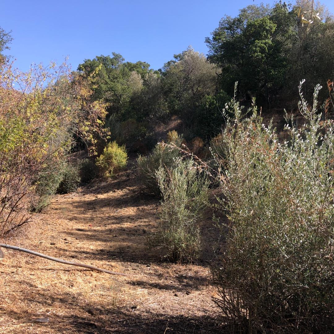 00000 Enchanto Vista, SAN JOSE, California 95127, ,Lots And Land,For Sale,Enchanto Vista,40970083