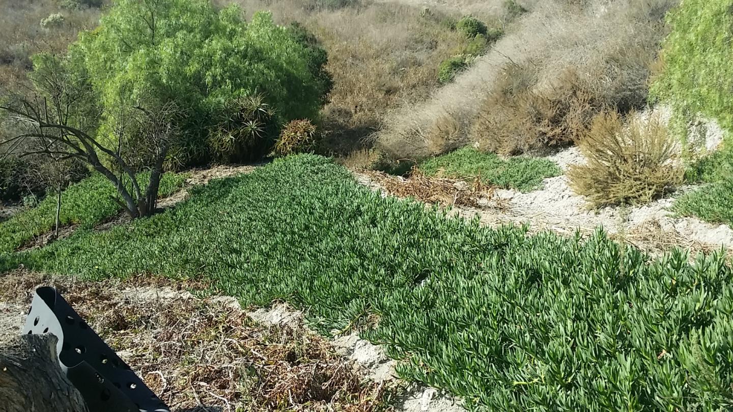 1599 Sycamore Canyon Road, SANTA BARBARA, California 93108, ,Lots And Land,For Sale,Sycamore Canyon Road,40970092