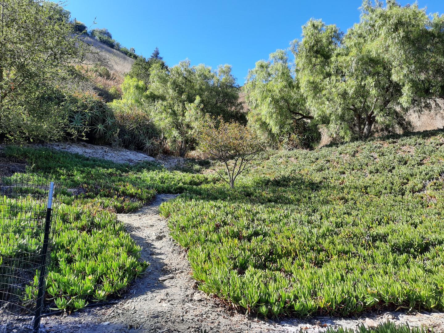 1599 Sycamore Canyon Road, SANTA BARBARA, California 93108, ,Lots And Land,For Sale,Sycamore Canyon Road,40970092