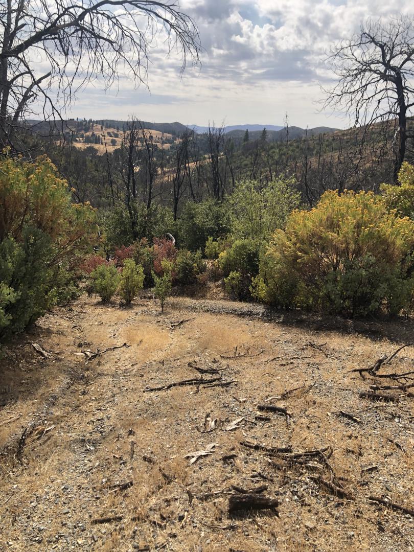 9265 Green Ranch Road, MOUNTAIN RANCH, California 95246, ,Lots And Land,For Sale,Green Ranch Road,40970099