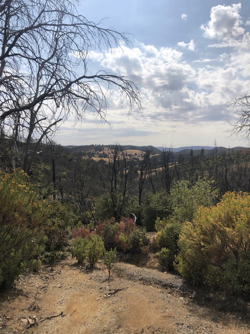 9265 Green Ranch Road, MOUNTAIN RANCH, California 95246, ,Lots And Land,For Sale,Green Ranch Road,40970099