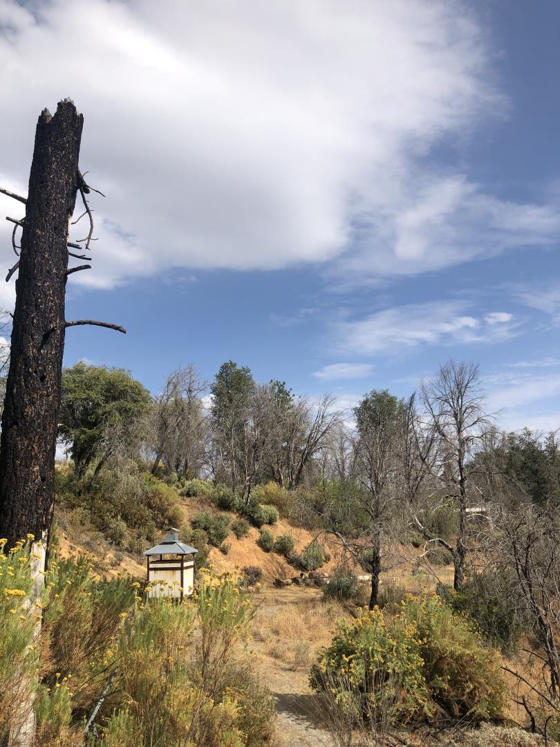 9265 Green Ranch Road, MOUNTAIN RANCH, California 95246, ,Lots And Land,For Sale,Green Ranch Road,40970099