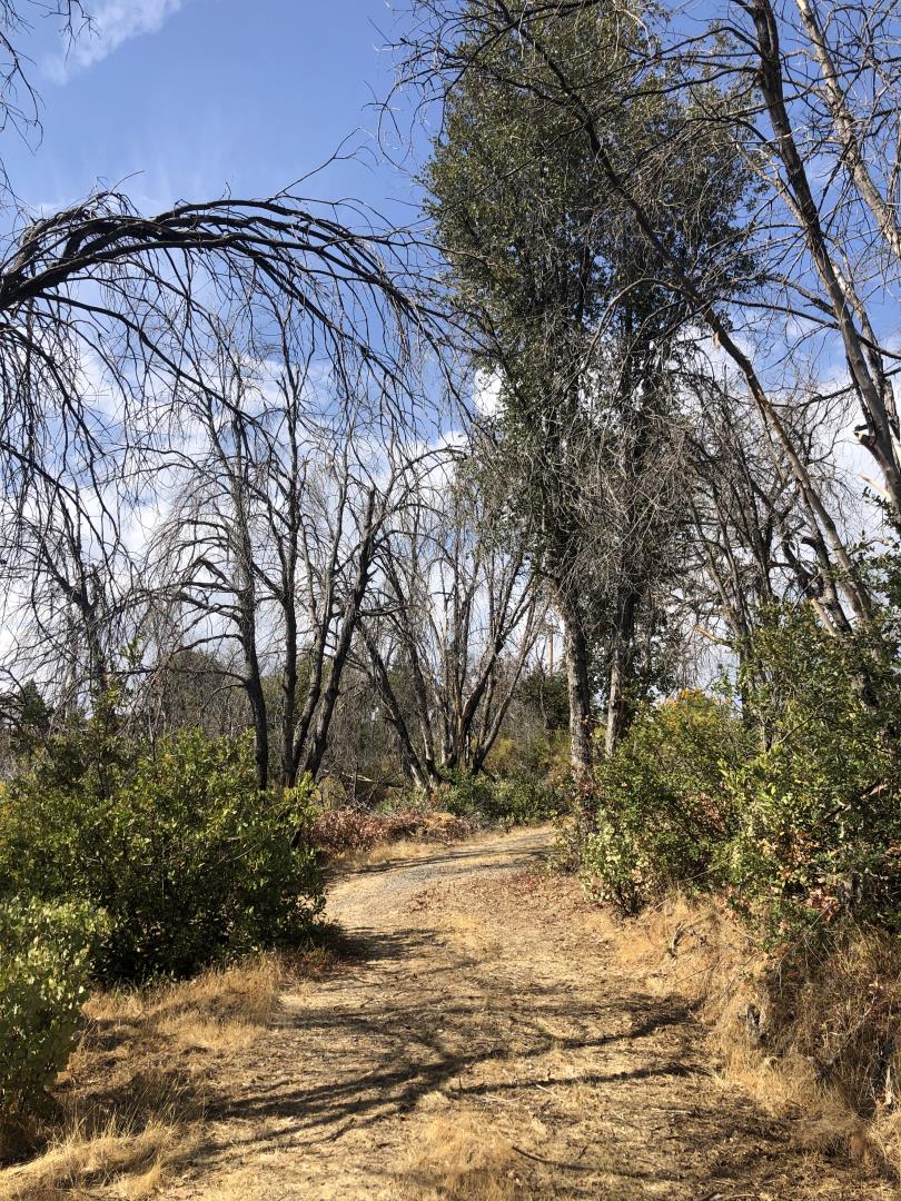 9265 Green Ranch Road, MOUNTAIN RANCH, California 95246, ,Lots And Land,For Sale,Green Ranch Road,40970099