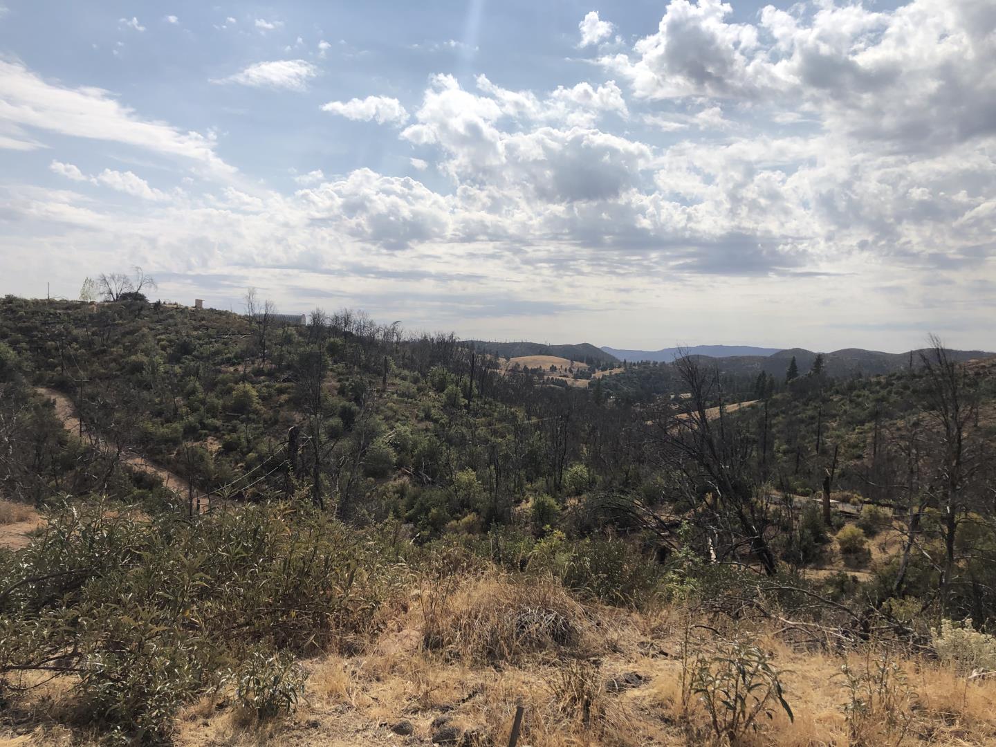 9265 Green Ranch Road, MOUNTAIN RANCH, California 95246, ,Lots And Land,For Sale,Green Ranch Road,40970099
