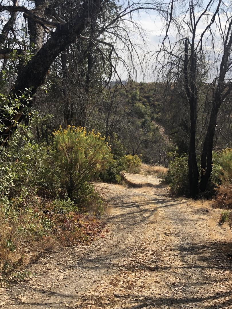 9265 Green Ranch Road, MOUNTAIN RANCH, California 95246, ,Lots And Land,For Sale,Green Ranch Road,40970099