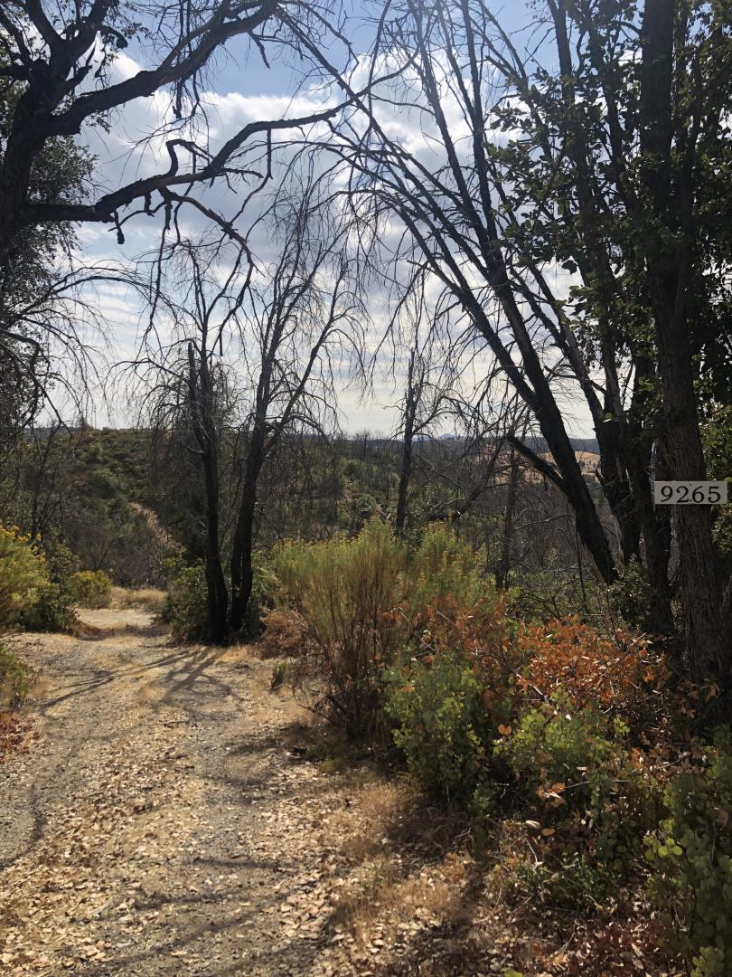 9265 Green Ranch Road, MOUNTAIN RANCH, California 95246, ,Lots And Land,For Sale,Green Ranch Road,40970099