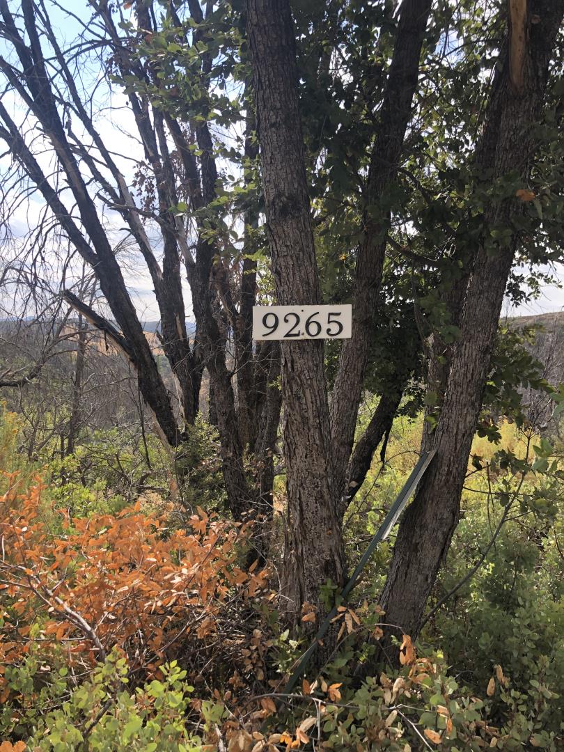 9265 Green Ranch Road, MOUNTAIN RANCH, California 95246, ,Lots And Land,For Sale,Green Ranch Road,40970099