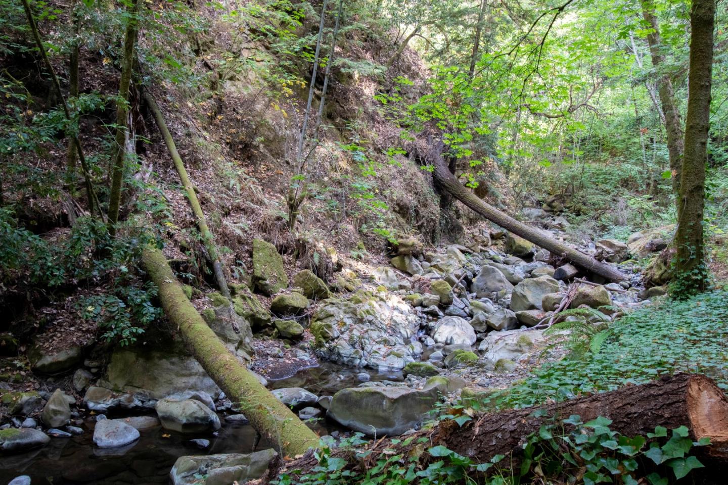 1209 Eureka Canyon Road, WATSONVILLE, California 95076, ,Lots And Land,For Sale,Eureka Canyon Road,40970100