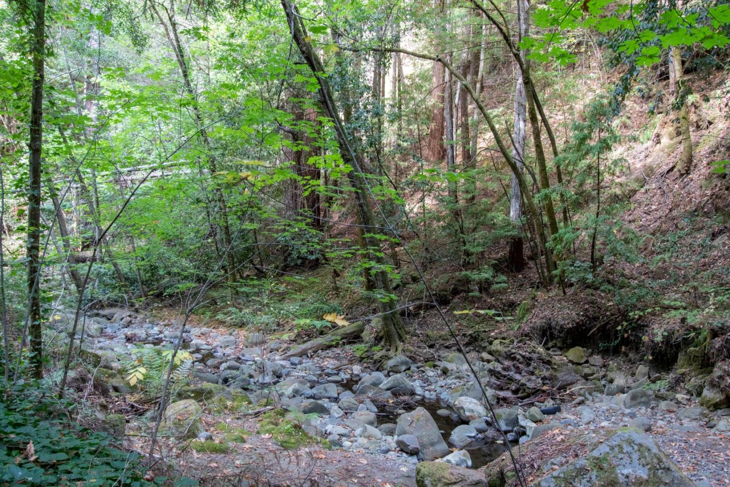 1209 Eureka Canyon Road, WATSONVILLE, California 95076, ,Lots And Land,For Sale,Eureka Canyon Road,40970100