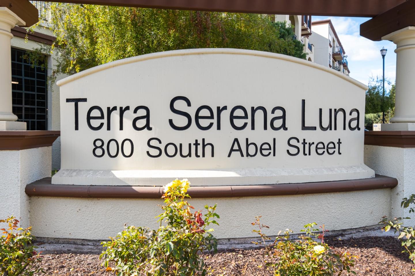 Detail Gallery Image 1 of 1 For 800 S Abel St #315,  Milpitas,  CA 95035 - 2 Beds | 2 Baths