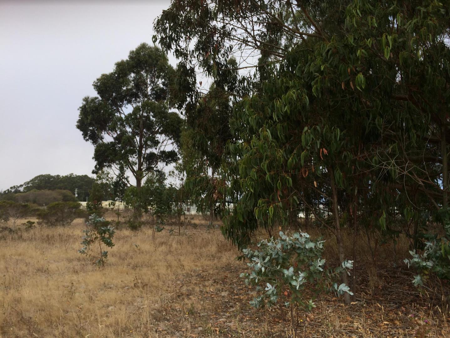 0 Undefined (Van Ness), HALF MOON BAY, California 94019, ,Lots And Land,For Sale,Undefined (Van Ness),40970107