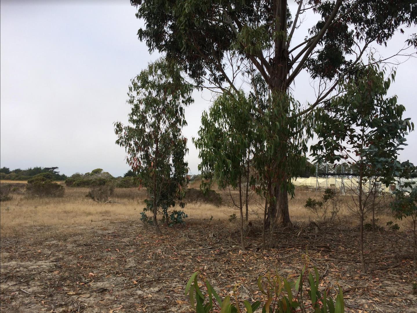 0 Undefined (Van Ness), HALF MOON BAY, California 94019, ,Lots And Land,For Sale,Undefined (Van Ness),40970107
