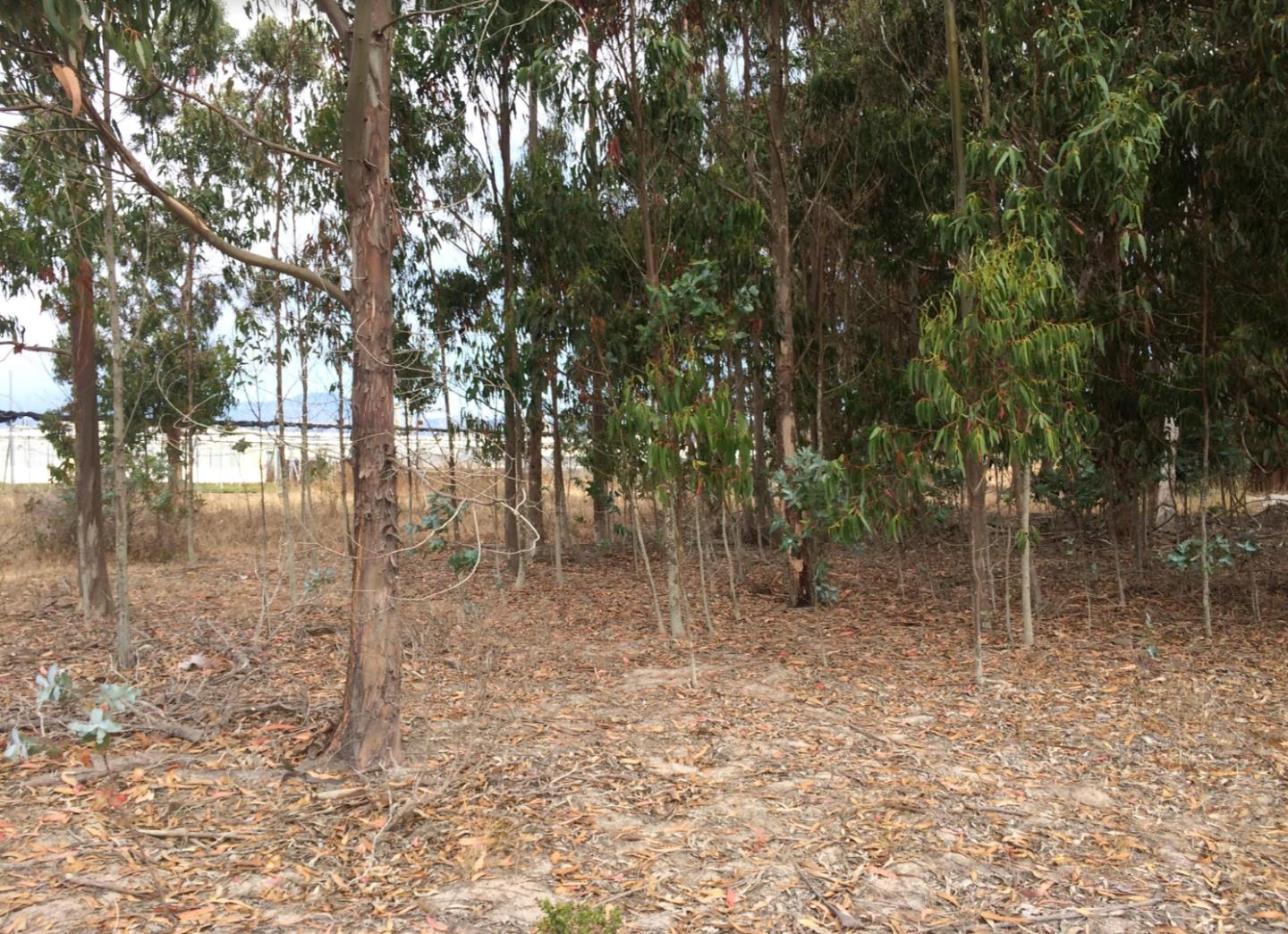 0 Undefined (Van Ness), HALF MOON BAY, California 94019, ,Lots And Land,For Sale,Undefined (Van Ness),40970107