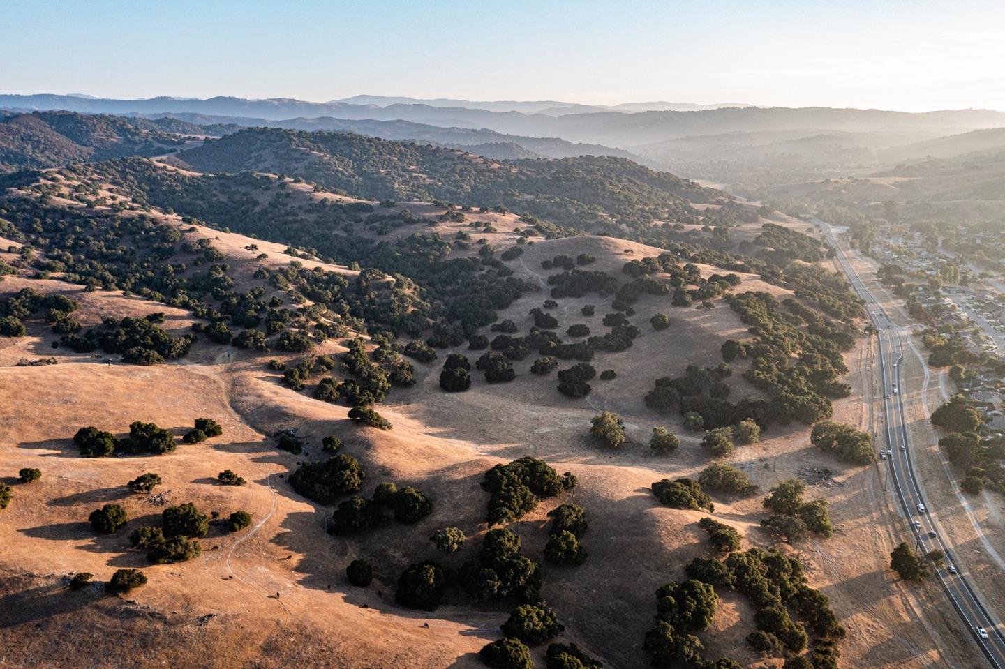Ferrini Ranch, SALINAS, California 93908, ,Comm Lots And Land,For Sale,Ranch,40970561