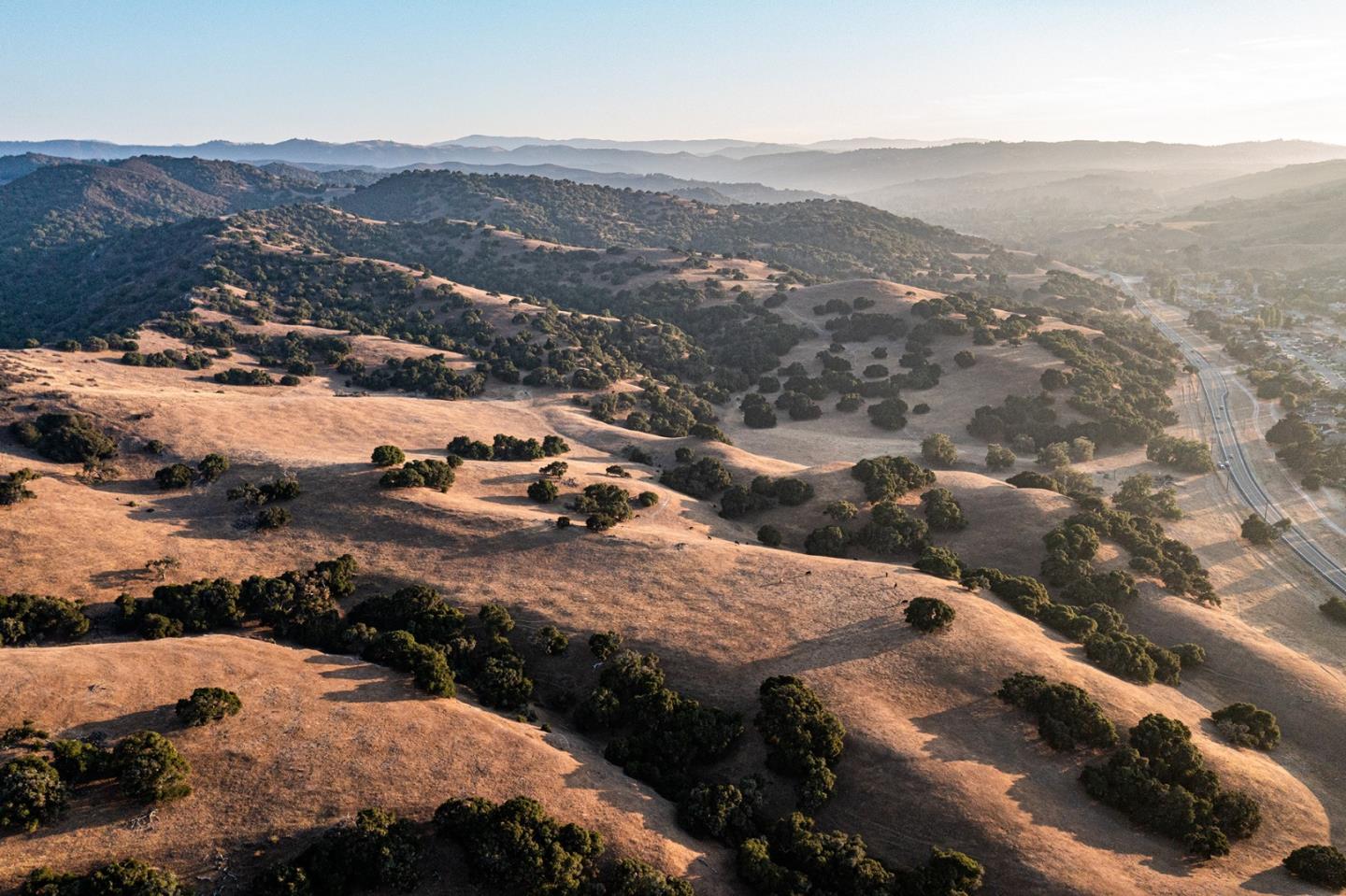 Ferrini Ranch, SALINAS, California 93908, ,Comm Lots And Land,For Sale,Ranch,40970561