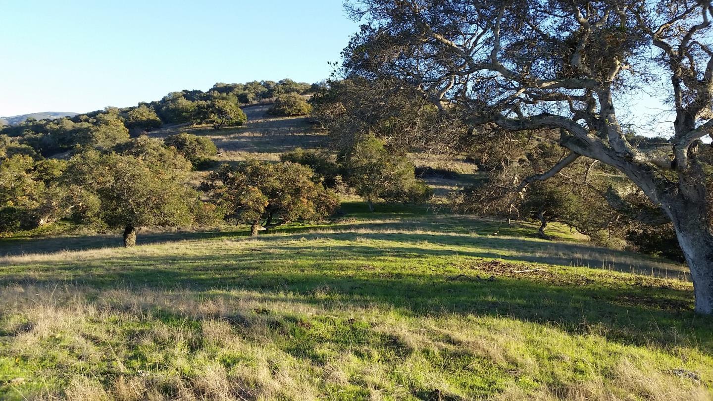 Ferrini Ranch, SALINAS, California 93908, ,Comm Lots And Land,For Sale,Ranch,40970561