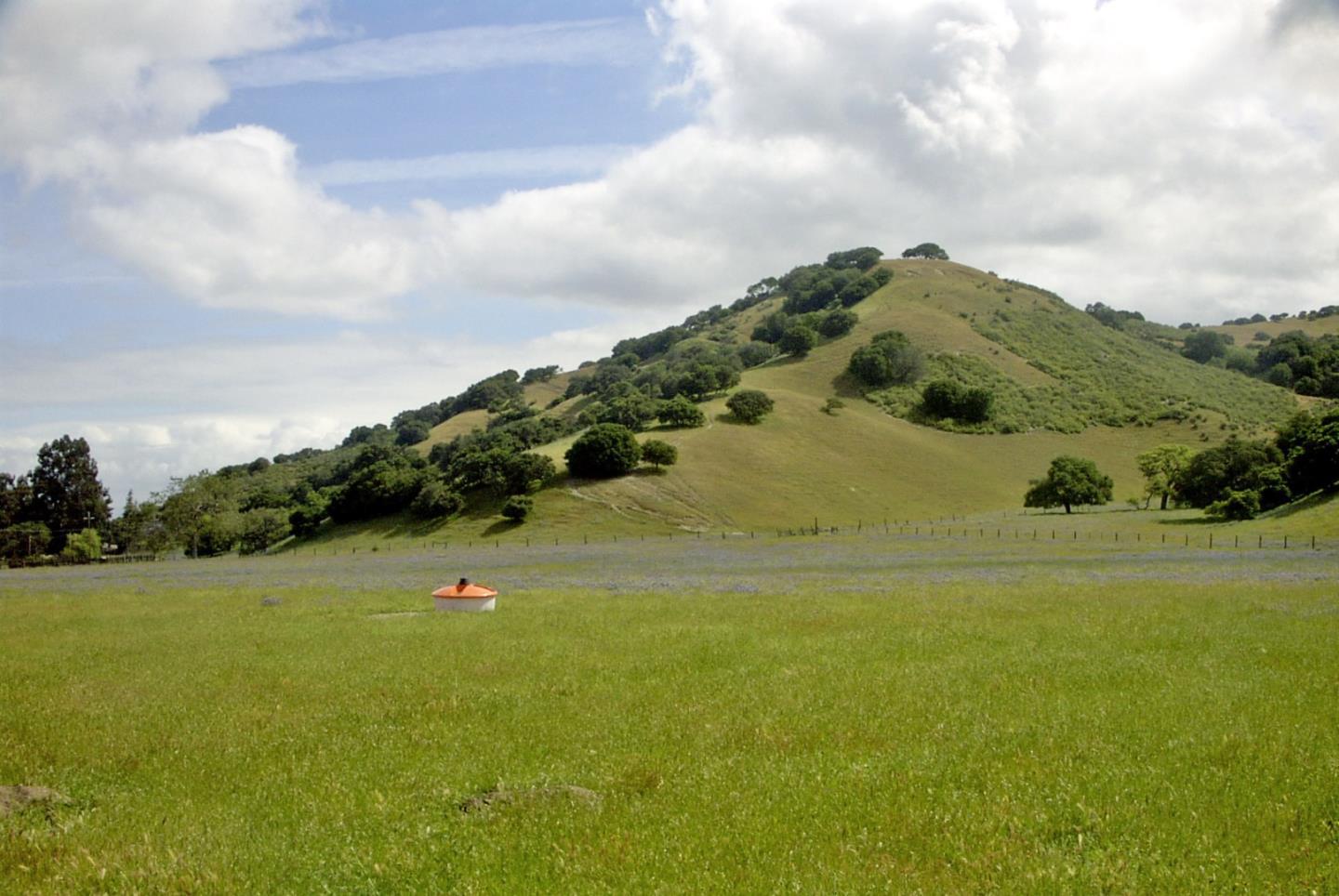 Ferrini Ranch, SALINAS, California 93908, ,Comm Lots And Land,For Sale,Ranch,40970561