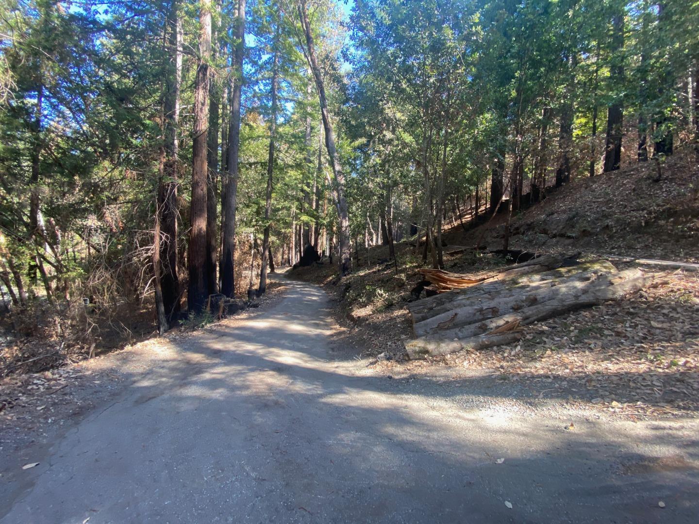 450 Memory Lane, BOULDER CREEK, California 95006, ,Lots And Land,For Sale,Memory Lane,40970115