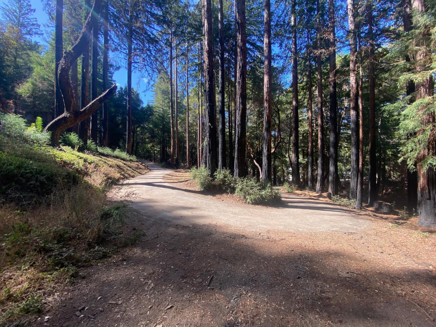 450 Memory Lane, BOULDER CREEK, California 95006, ,Lots And Land,For Sale,Memory Lane,40970115