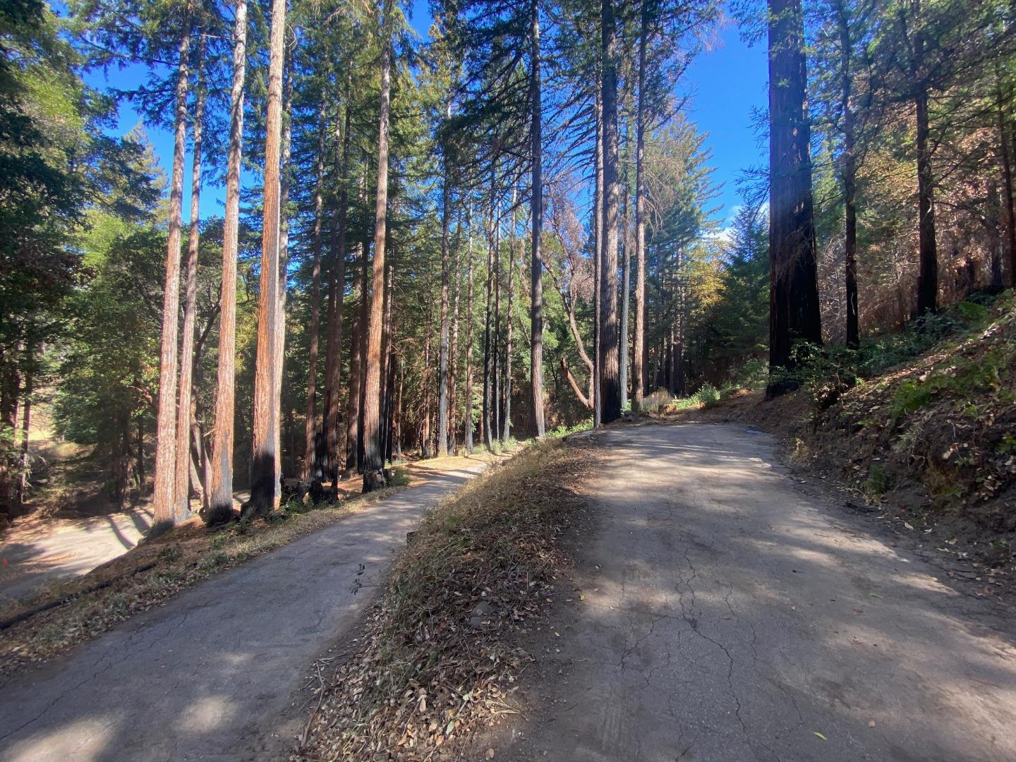 450 Memory Lane, BOULDER CREEK, California 95006, ,Lots And Land,For Sale,Memory Lane,40970115