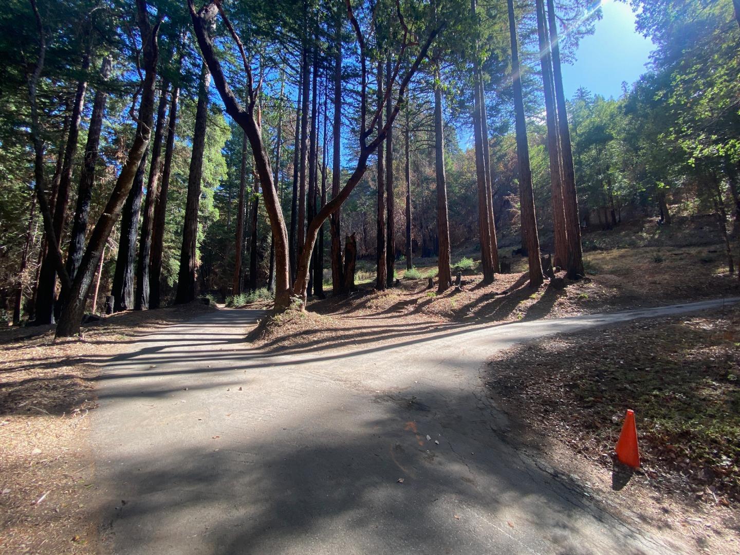 450 Memory Lane, BOULDER CREEK, California 95006, ,Lots And Land,For Sale,Memory Lane,40970115