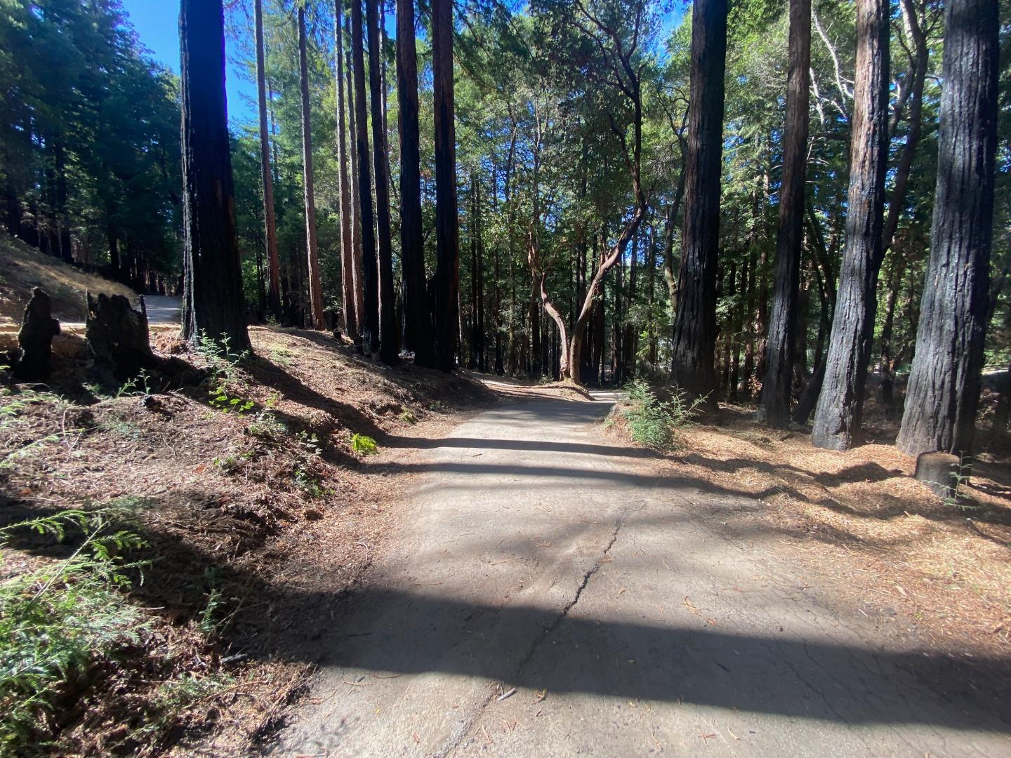 450 Memory Lane, BOULDER CREEK, California 95006, ,Lots And Land,For Sale,Memory Lane,40970115