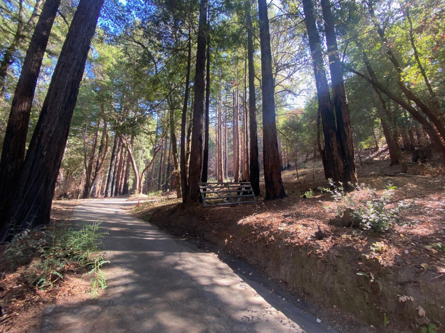 450 Memory Lane, BOULDER CREEK, California 95006, ,Lots And Land,For Sale,Memory Lane,40970115