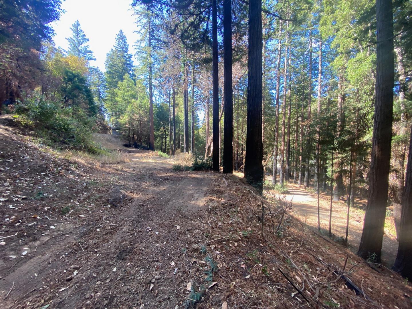 450 Memory Lane, BOULDER CREEK, California 95006, ,Lots And Land,For Sale,Memory Lane,40970115
