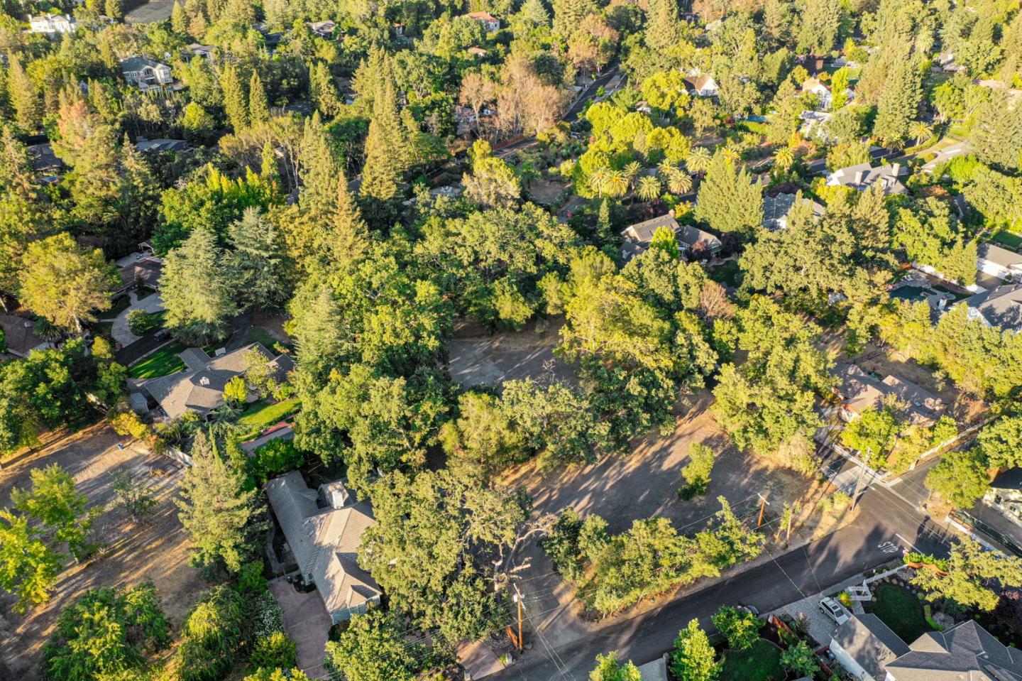 0 Avenida Nueva, DIABLO, California 94528, ,Lots And Land,For Sale,Avenida Nueva,40970567