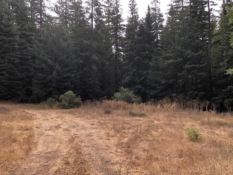 21720 Highway 9, BOULDER CREEK, California 95006, ,Lots And Land,For Sale,Highway 9,40970622