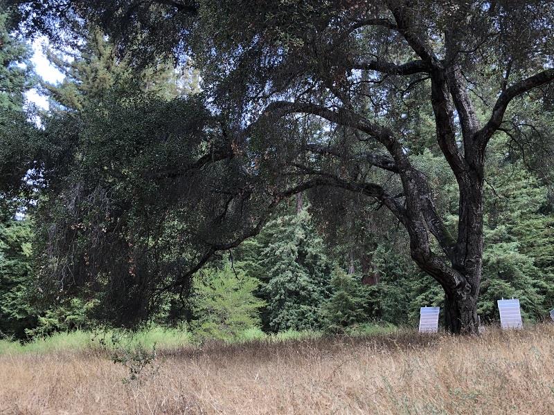 21720 Highway 9, BOULDER CREEK, California 95006, ,Lots And Land,For Sale,Highway 9,40970622
