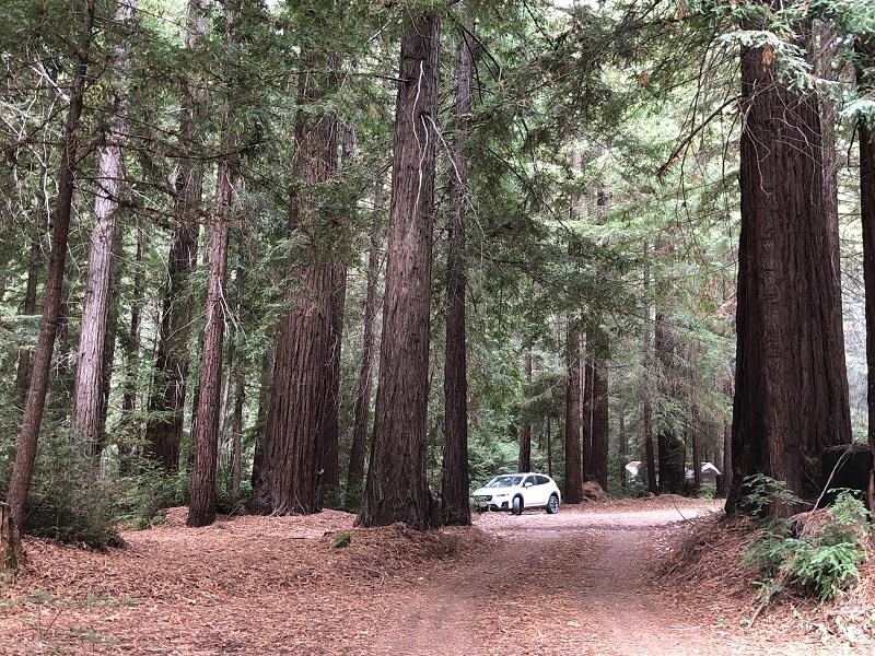 21720 Highway 9, BOULDER CREEK, California 95006, ,Lots And Land,For Sale,Highway 9,40970622