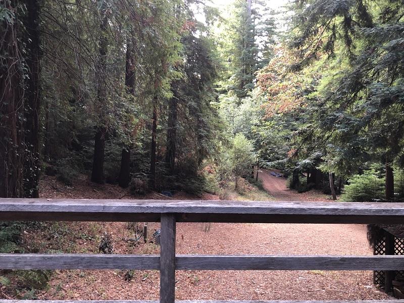 21720 Highway 9, BOULDER CREEK, California 95006, ,Lots And Land,For Sale,Highway 9,40970622