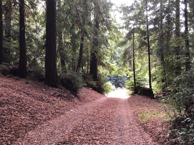 21720 Highway 9, BOULDER CREEK, California 95006, ,Lots And Land,For Sale,Highway 9,40970622
