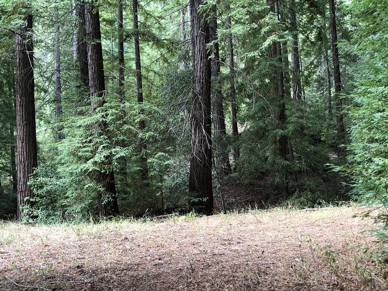 21720 Highway 9, BOULDER CREEK, California 95006, ,Lots And Land,For Sale,Highway 9,40970622