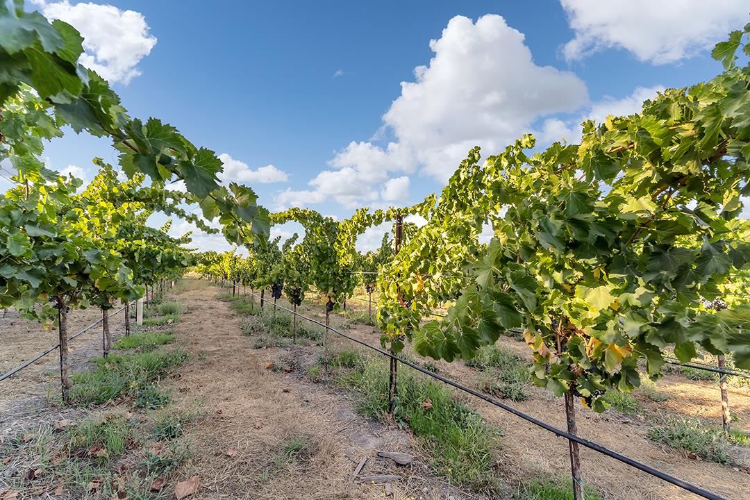 633 Kalthoff Common, LIVERMORE, California 94550, ,Comm Business Opportunity,For Sale,Kalthoff Common,40970625