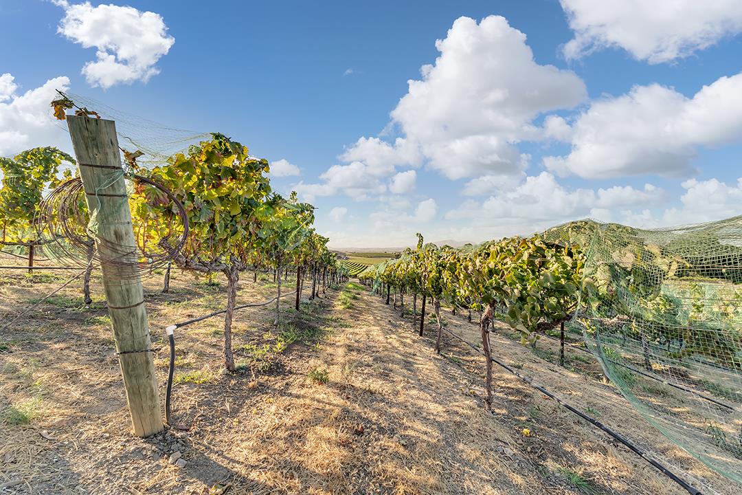 633 Kalthoff Common, LIVERMORE, California 94550, ,Comm Business Opportunity,For Sale,Kalthoff Common,40970625