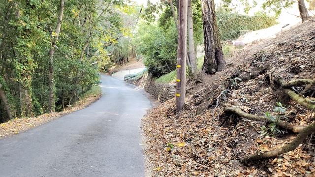 16231 Wood Acres Road, LOS GATOS, California 95030, ,Lots And Land,For Sale,Wood Acres Road,40970628