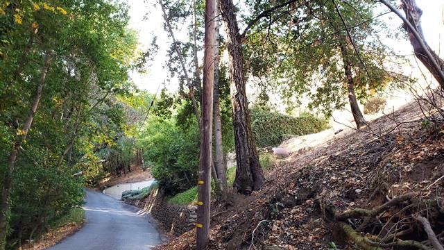16231 Wood Acres Road, LOS GATOS, California 95030, ,Lots And Land,For Sale,Wood Acres Road,40970628