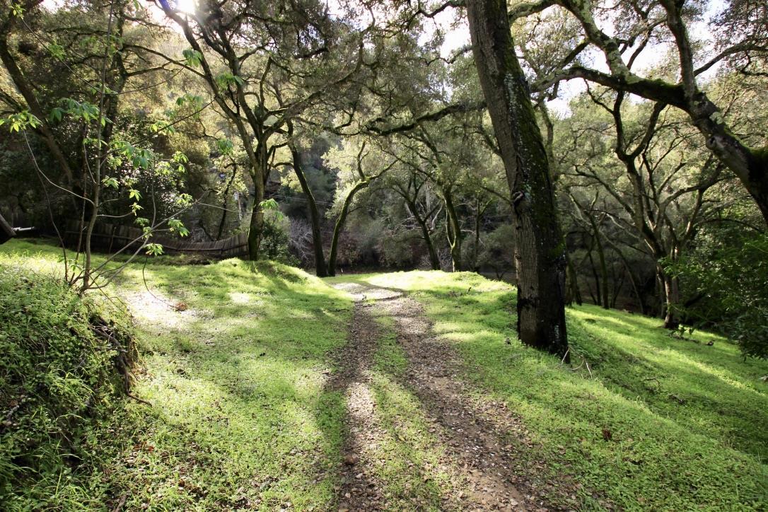 108 Hitchcock Canyon, CARMEL VALLEY, California 93924, ,Lots And Land,For Sale,Hitchcock Canyon,40970629