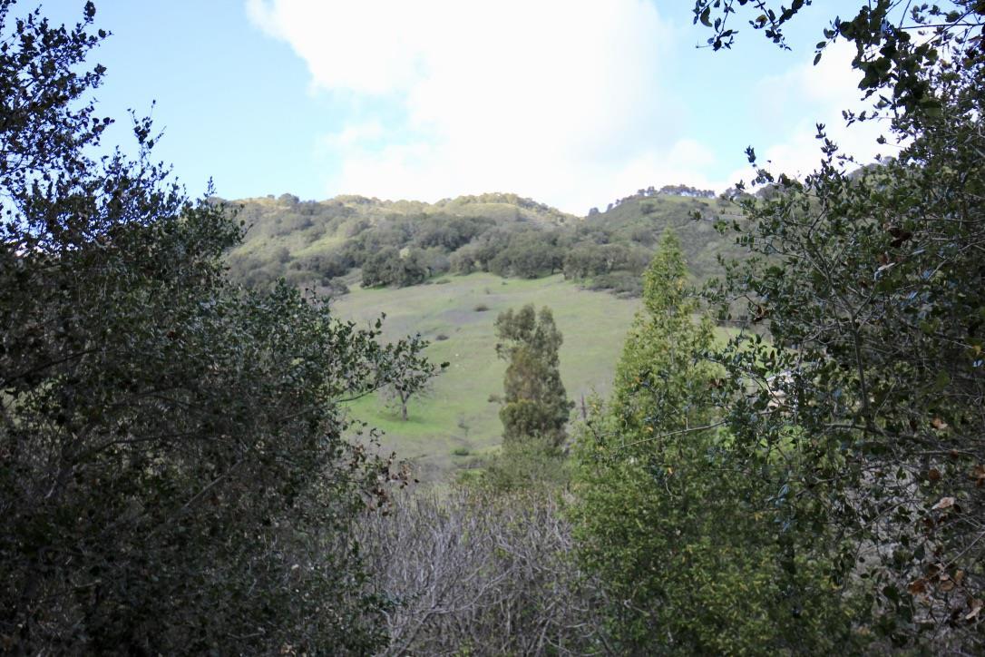 108 Hitchcock Canyon, CARMEL VALLEY, California 93924, ,Lots And Land,For Sale,Hitchcock Canyon,40970629