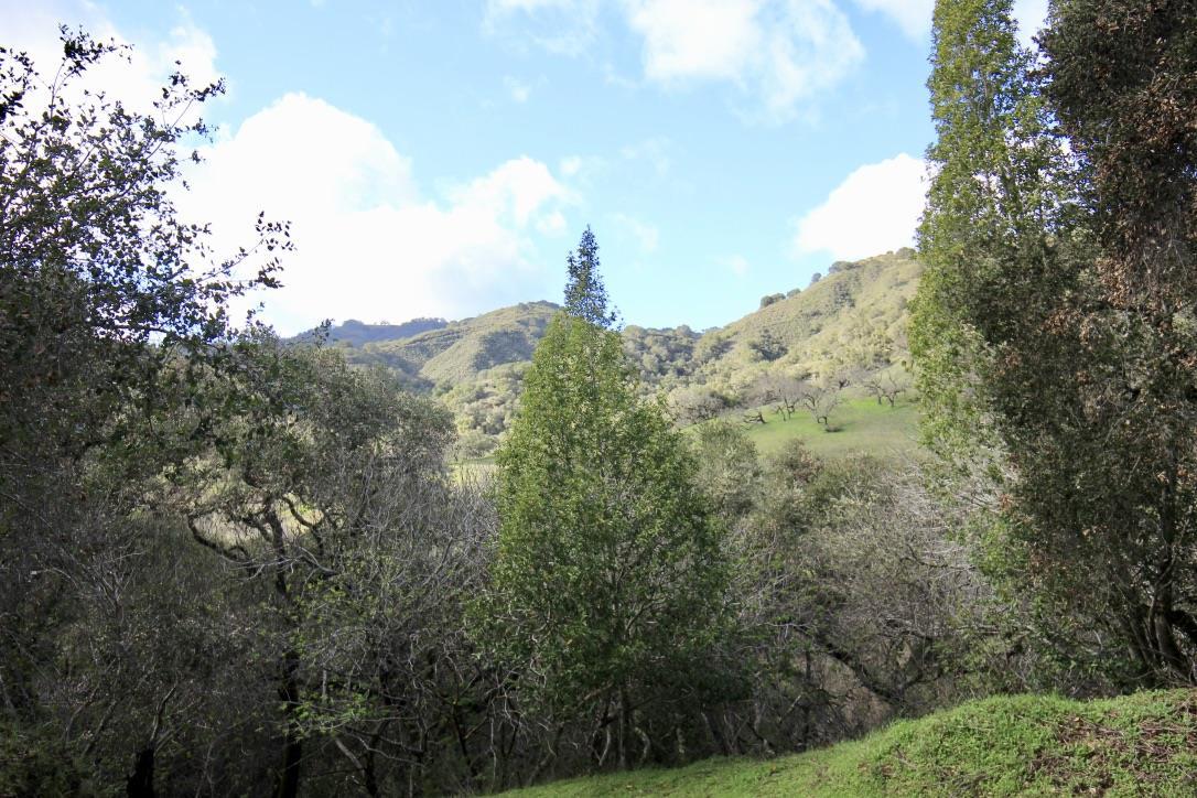 108 Hitchcock Canyon, CARMEL VALLEY, California 93924, ,Lots And Land,For Sale,Hitchcock Canyon,40970629