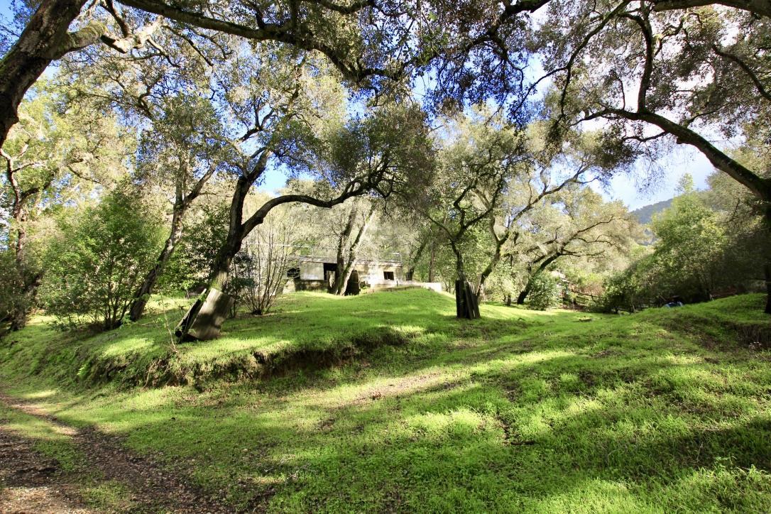 108 Hitchcock Canyon, CARMEL VALLEY, California 93924, ,Lots And Land,For Sale,Hitchcock Canyon,40970629
