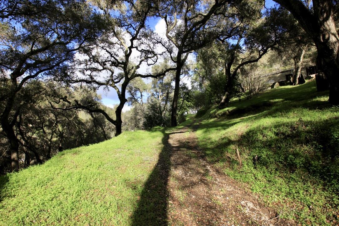 108 Hitchcock Canyon, CARMEL VALLEY, California 93924, ,Lots And Land,For Sale,Hitchcock Canyon,40970629