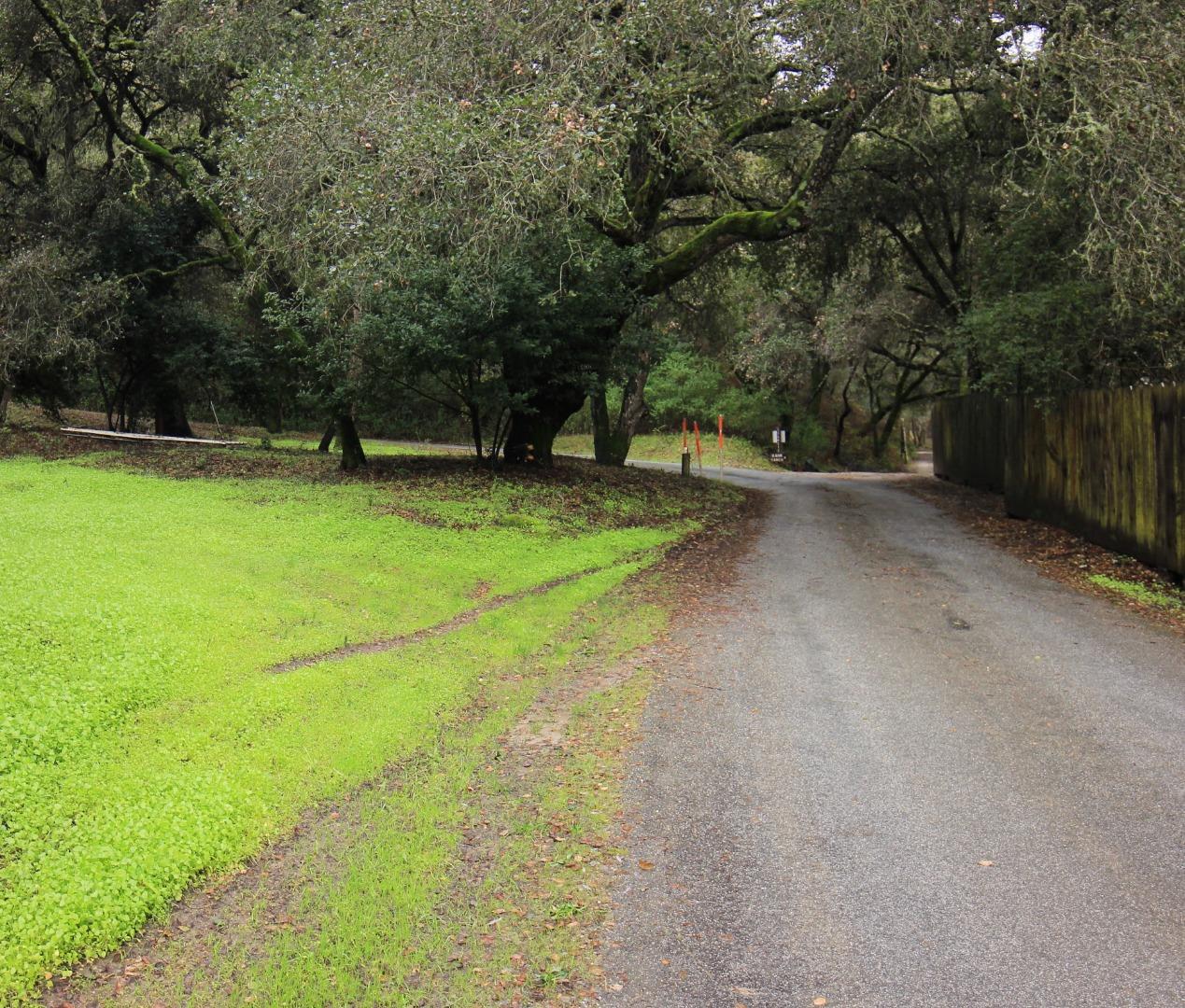 108 Hitchcock Canyon, CARMEL VALLEY, California 93924, ,Lots And Land,For Sale,Hitchcock Canyon,40970629