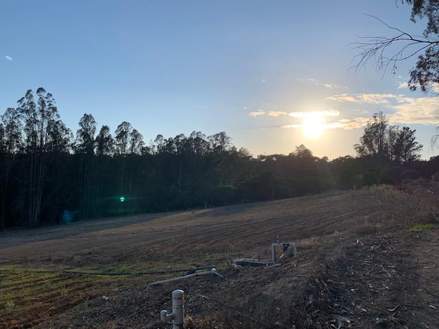 0 Harrington, WATSONVILLE, California 95076, ,Lots And Land,For Sale,Harrington,40970969