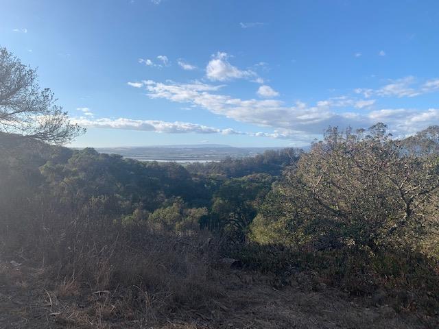 0 Harrington, WATSONVILLE, California 95076, ,Lots And Land,For Sale,Harrington,40970969