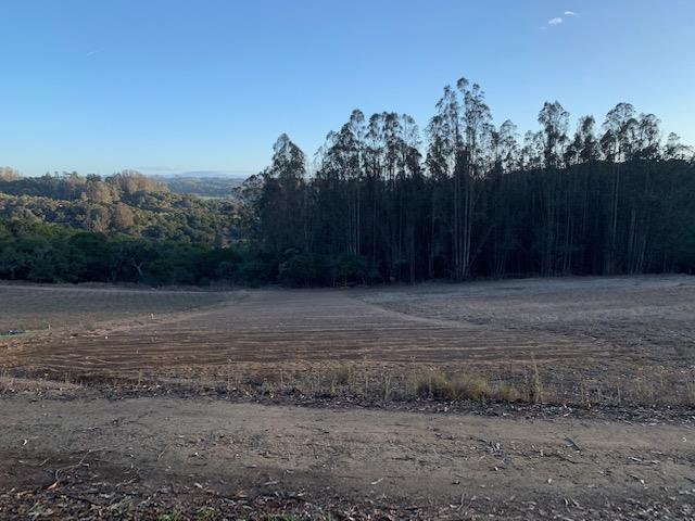 0 Harrington, WATSONVILLE, California 95076, ,Lots And Land,For Sale,Harrington,40970969