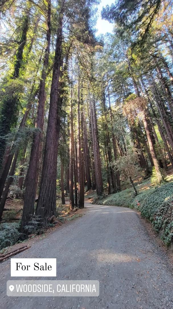 446 Old La Honda, WOODSIDE, California 94062, ,Lots And Land,For Sale,Old La Honda,40971197