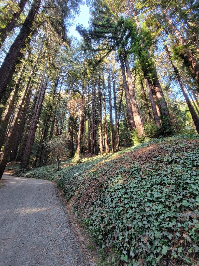 446 Old La Honda, WOODSIDE, California 94062, ,Lots And Land,For Sale,Old La Honda,40971197